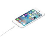 کابل شارژ USB-A به Lightning | یک متر - تصویر 5